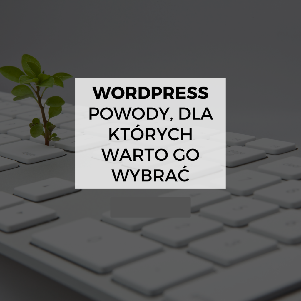 Wordpress - okładka